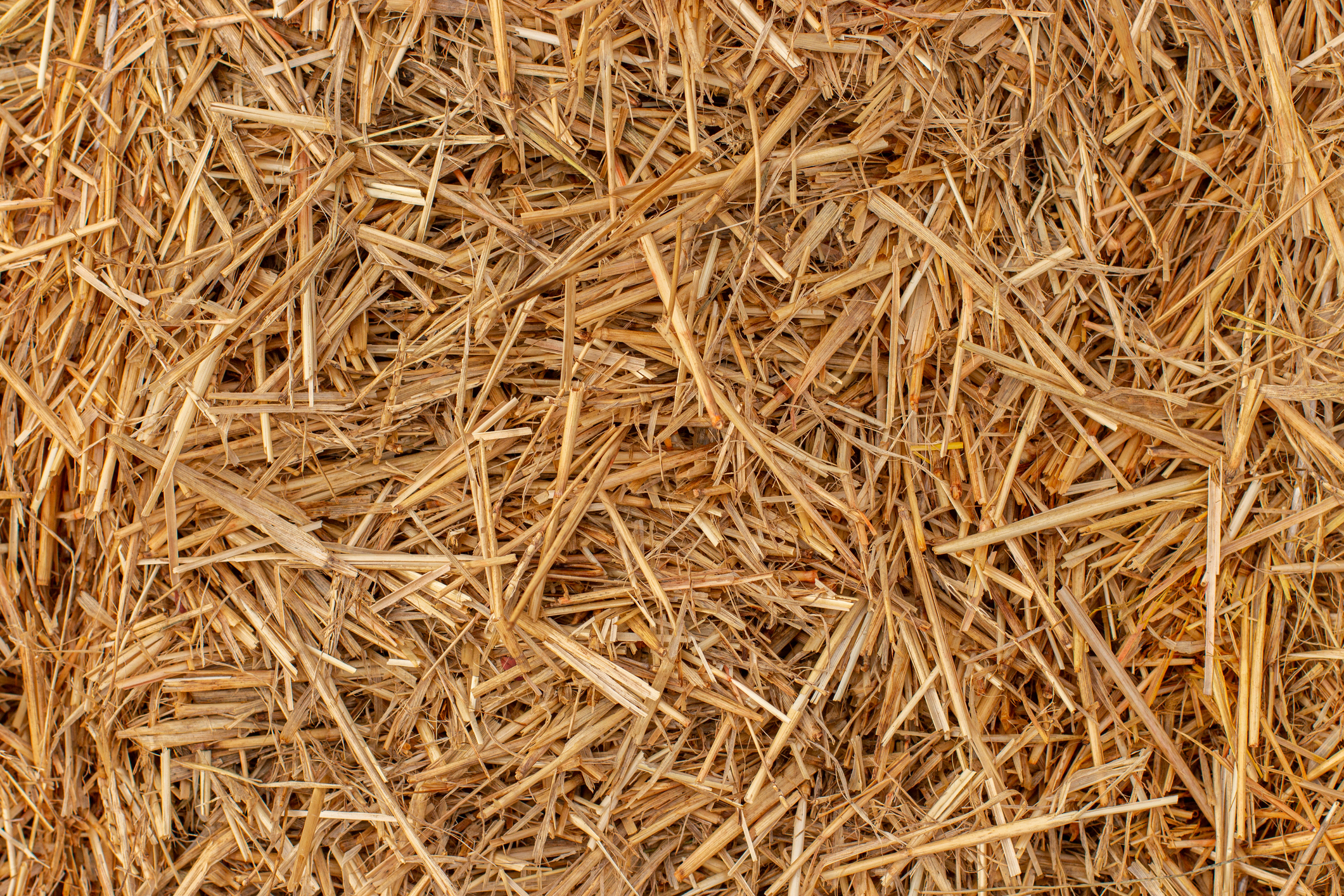 Seed and Straw